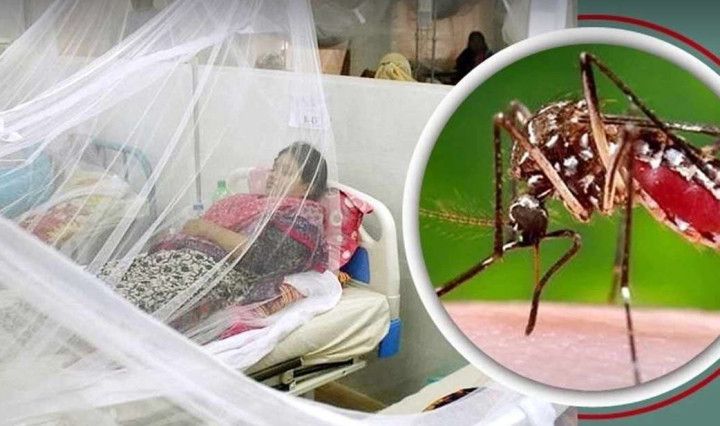 সালথায় ডেঙ্গু আক্রান্তে দুই গৃহবধূর মৃত্যু