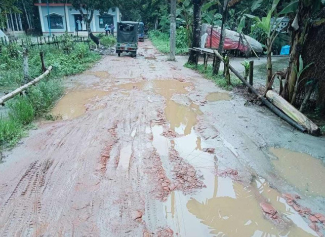 চরভদ্রাসন গাজীরটেক ইউনিয়নের দুপা ডাঙ্গী গ্রামের সড়কের বেহাল অবস্থা, ভোগান্তি চরমে