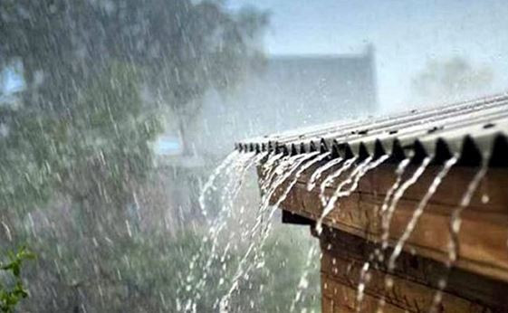 বৃষ্টি কমে বাড়বে তাপমাত্রা