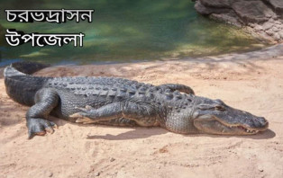 চরভদ্রাসনে ভুবনেশ্বর নদে দুটি কুমির দেখতে পেয়ে এলাকাবাসীর মধ্যে আতঙ্ক 