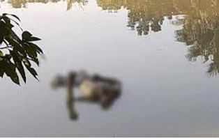 পুকুরে ভাসছিল নারীর মরদেহ