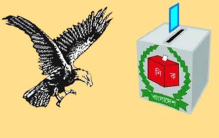 যে কারণে স্বতন্ত্র প্রার্থীদের মধ্যে ঈগল প্রতীক জনপ্রিয়