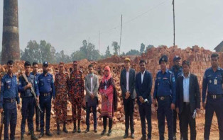 টাঙ্গাইলে ৭ ইটভাটা বন্ধ করল পরিবেশ অধিদপ্তর