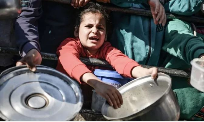 ঘোড়ার মাংস, পচা ভুট্টা গাছের পাতায় চলছে গাজার মানুষের দিন  