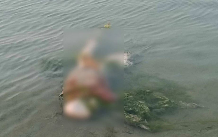রাজবাড়ীর পদ্মায় ভাসছে মরদেহ