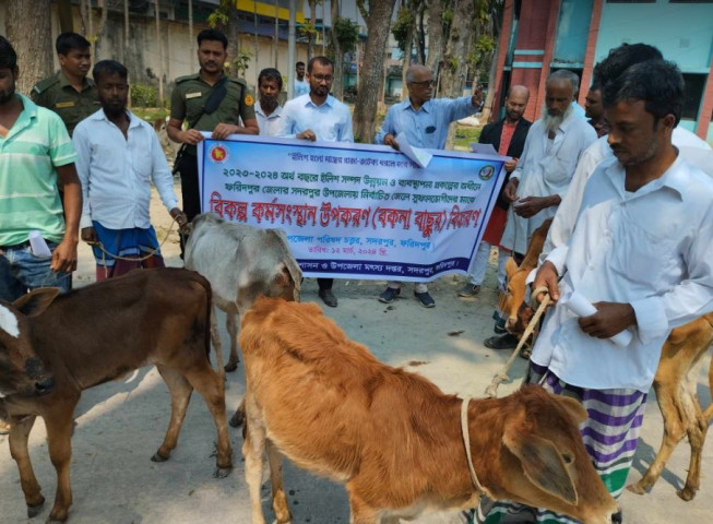 সদরপুরে মৎস্যজীবীদের মাঝে বকনা বাছুর বিতরণ  