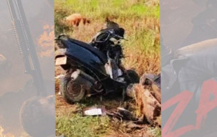 হাতির সঙ্গে মোটরসাইকেলের ধাক্কা, অভিনেতার মৃত্যু