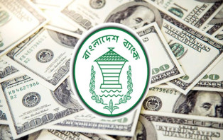 ১০ দিনে এলো ৮১ কোটি ডলার রেমিট্যান্স