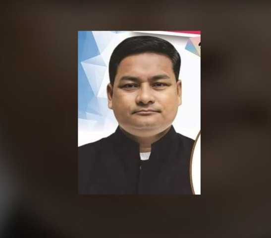 সদরপুর উপজেলা পরিষদ নির্বাচনে বাবুল বিজয়ী