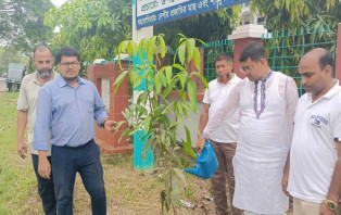 সালথা উপজেলা চেয়ারম্যানের গাছ রোপণ ও ক্রীড়া সামগ্রী বিতরণ 