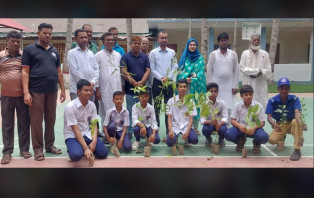 সদরপুরে জেলা প্রশাসনের উদ্যোগে বৃক্ষরোপন কর্মসূচীর শুভ সূচনা