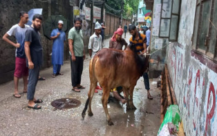 ঈদের দিন রাজধানীসহ দেশের যেসব অঞ্চলে বৃষ্টির সম্ভাবনা 