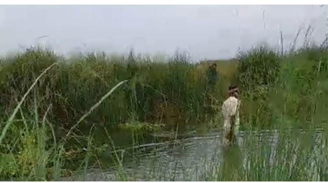 ভাঙ্গায় নারীর অর্ধগলিত লাশ উদ্ধার