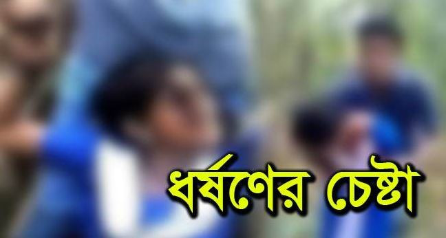 সদরপুরের আকোটেরচরে শিশু ধর্ষণের চেষ্টায় মামলা