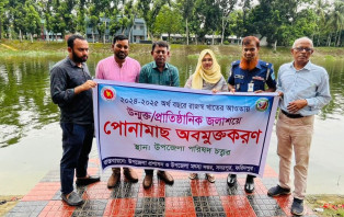 সদরপুরে পোনামাছ অবমুক্তকরণ সম্পন্ন