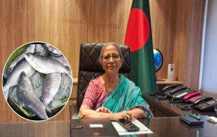 ক্ষমা চাচ্ছি, ভারতে ইলিশ পাঠাতে পারব না: মৎস্য উপদেষ্টা