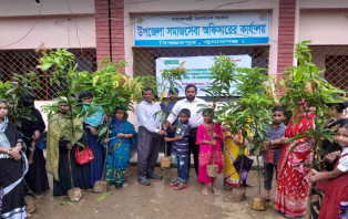 বিশ্বম্ভরপুরে শিশুর হাতে হাতে আম গাছের চারা