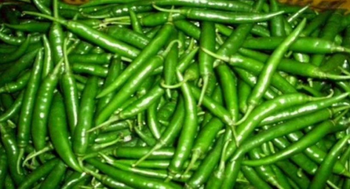 ভারত থেকে এলো ৫৯৩ টন কাঁচামরিচ