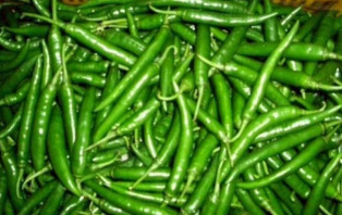 ভারত থেকে এলো ৫৯৩ টন কাঁচামরিচ