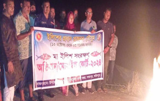 সদরপুরে ইলিশ ধরার অপরাধে দুই জনের ২০ দিনের জেল