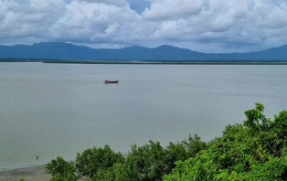 বোমা-মর্টারশেলের শব্দে কাঁপছে টেকনাফ সীমান্ত, আতঙ্কে স্থানীয়রা
