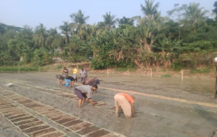 আলফাডাঙ্গায় ট্রে পদ্ধতিতে ধানের চারা উৎপাদন