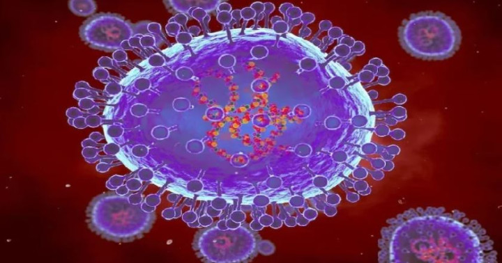 এইচএমপি ভাইরাস : দেশে ৭ নির্দেশনা জারি