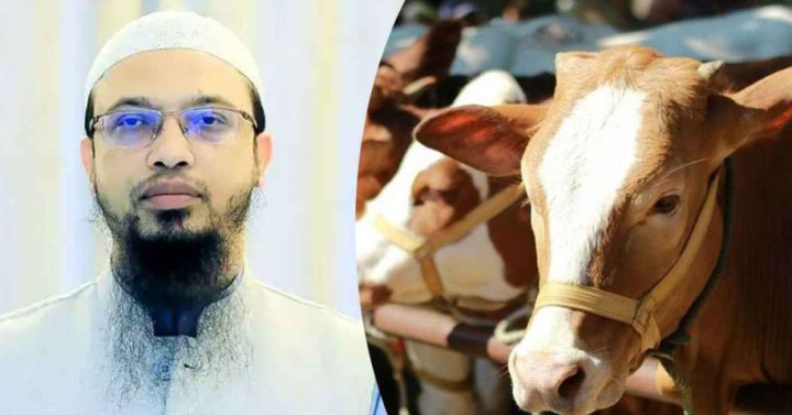 একভাগ কোরবানিতে দুই ভাই শরিক হওয়া যাবে কি, যা বললেন শায়খ আহমাদুল্লাহ