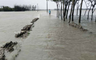 লক্ষ্মীপুরে জোয়ারের পানিতে ৪০ গ্রাম প্লাবিত, দুর্ভোগ