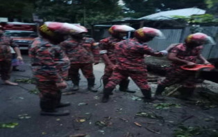 চরভদ্রাসনের বাবলাতলায় শিশু গাছ উলটে যোগাযোগ বিচ্ছিন্ন 