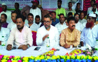 বিএনপিকে এখন উৎখাত করতে চায় চামচিকারা : সাইদ সোহরাব