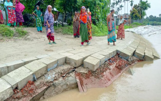 মধুমতি নদীর তীর সংরক্ষণ বাঁধে ধস: দ্রুত মেরামতের আশ্বাস, আতঙ্কিত এলাকাবাসী