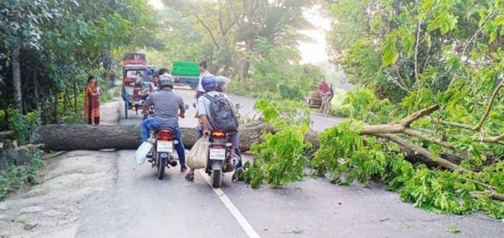 ফরিদপুর-৪ আসন: তৃতীয় দিনের মতো অবরোধে ২১ জেলার যান চলাচল বন্ধ