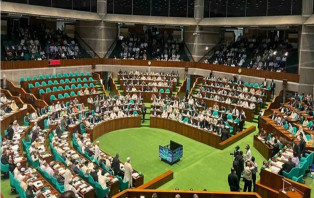 বাতিল হয়ে যাচ্ছে গণভোট অধ্যাদেশ, বিল আকারে উঠবে না সংসদে