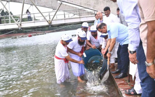 জিয়া ‍উদ্যানের লেকে মাছের পোনা অবমুক্ত করলেন প্রধানমন্ত্রী