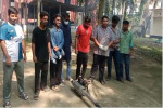 ডেঙ্গু ঠেকাতে ফগার হাতে তরুণরা, আলফাডাঙ্গায় ছাত্রদলের ব্যতিক্রমী উদ্যোগ