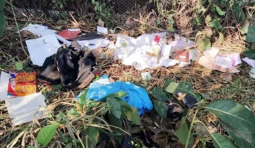 ধর্ষণের শিকার সেই ঢাবি শিক্ষার্থী আদালতে যে জবানবন্দি দিলেন!