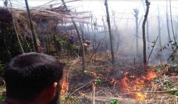 ঝিনাইদহে ১০ বিঘা পান বরজ পুড়ে ছাই