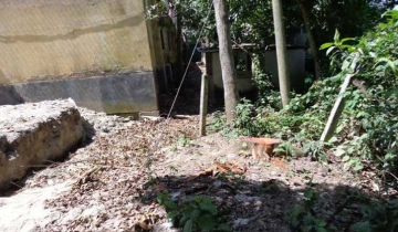 সালথায় বিদ্যালয়ের গাছ বিক্রির টাকা আত্মসাতের অভিযোগ