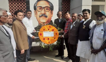 সালথায় শহীদ বুদ্ধিজীবি দিবস পালিত
